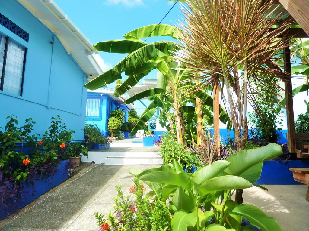 Miller'S Guest House Buccoo Bagian luar foto