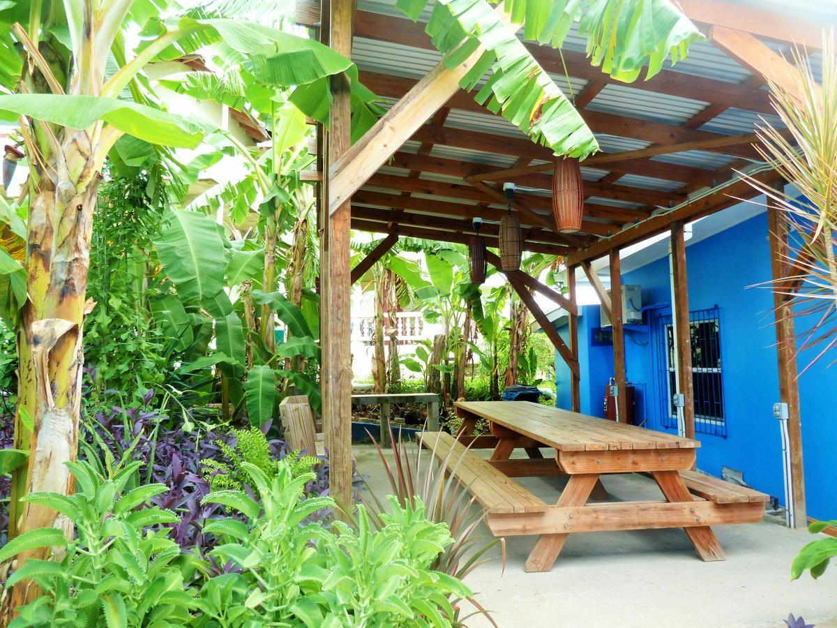 Miller'S Guest House Buccoo Bagian luar foto